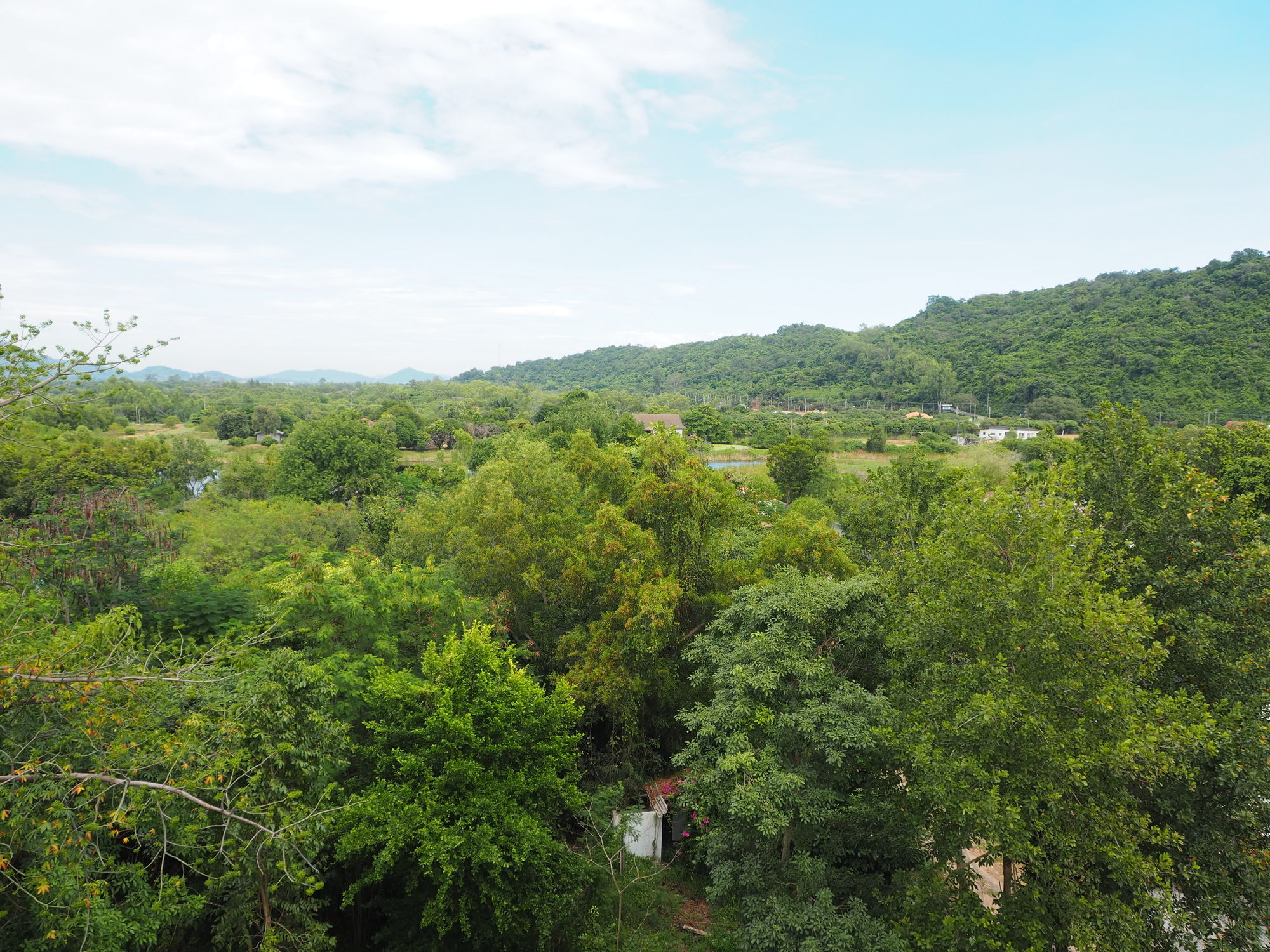 Фото Nice Beach Hotel