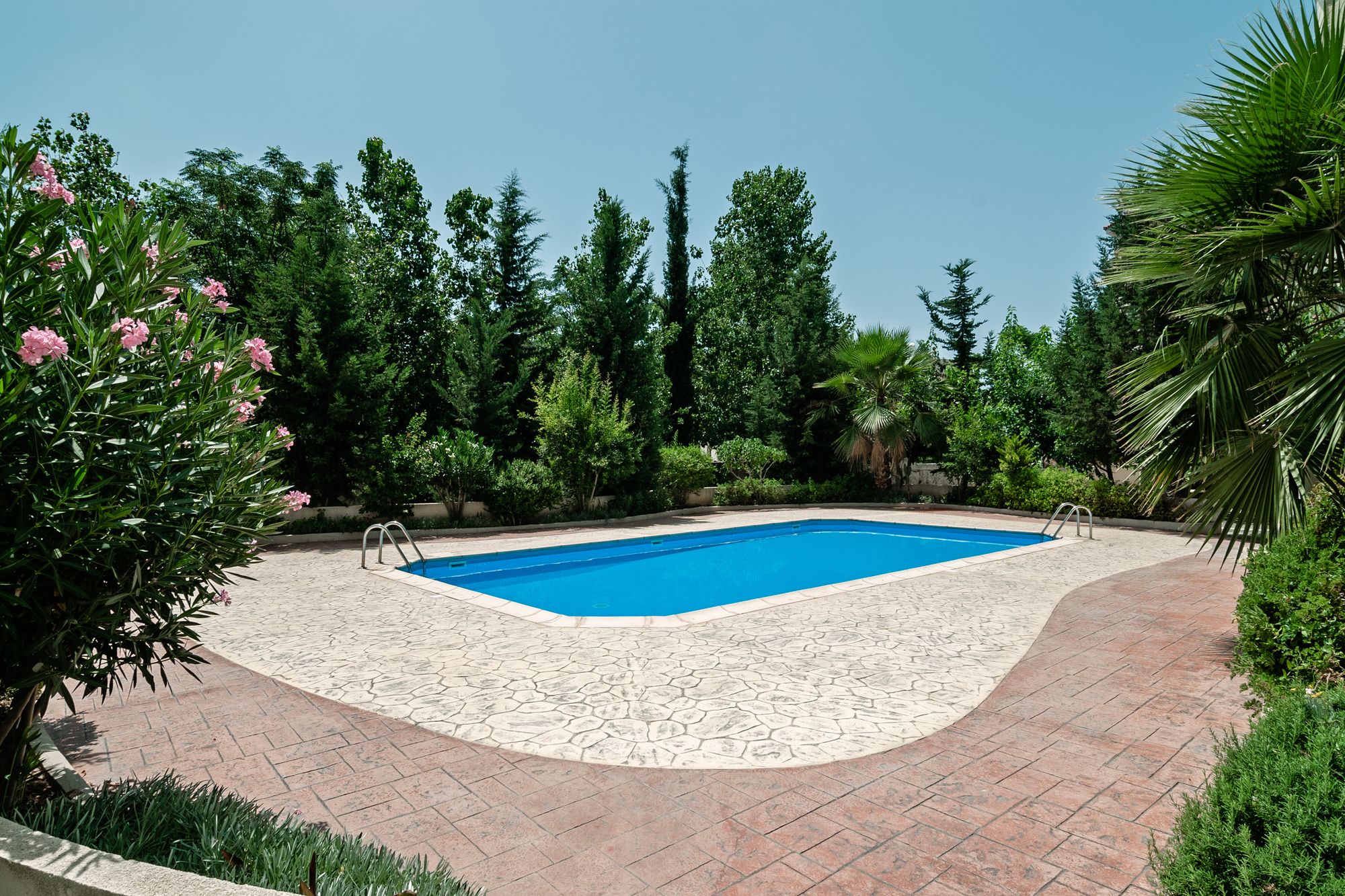 Фото Artemis Cynthia Complex