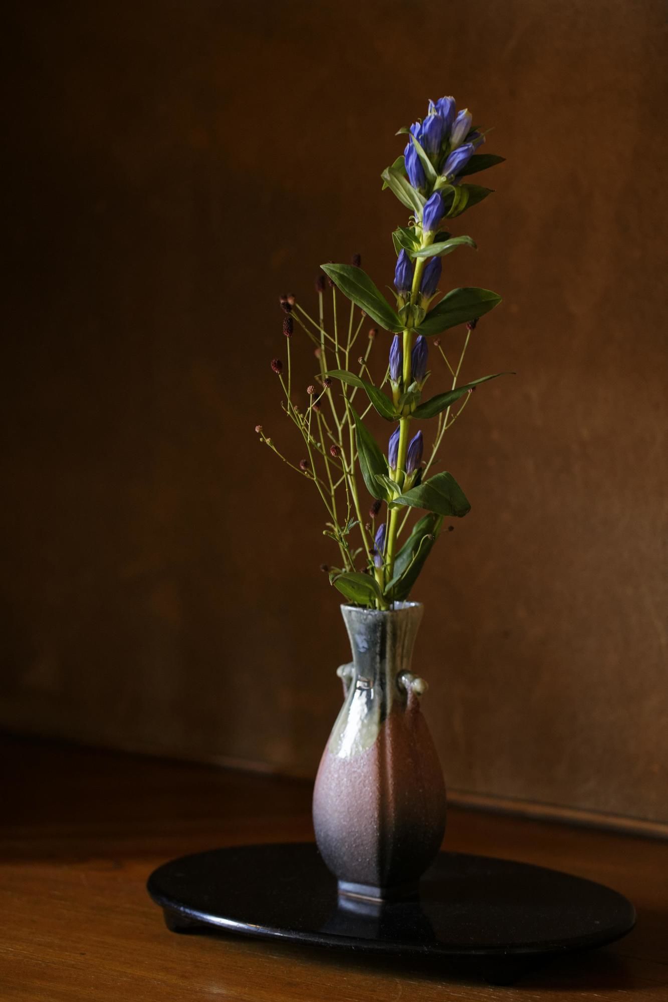 Фото Hotel New Tsuruta