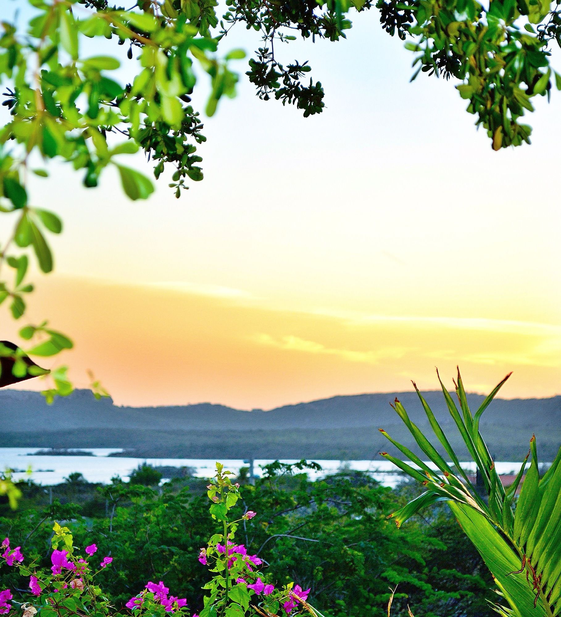 Фото Jan Kok Lodges