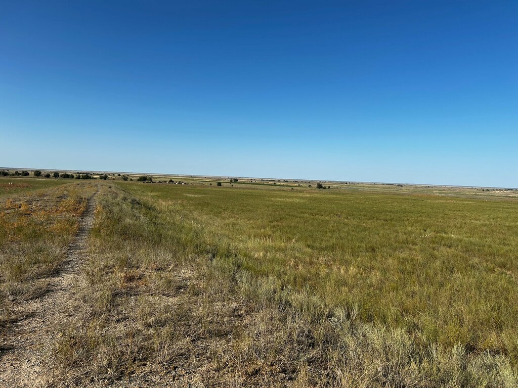 Landmark, attraction Sagabuen Settlement, Jetısu oblysy, photo