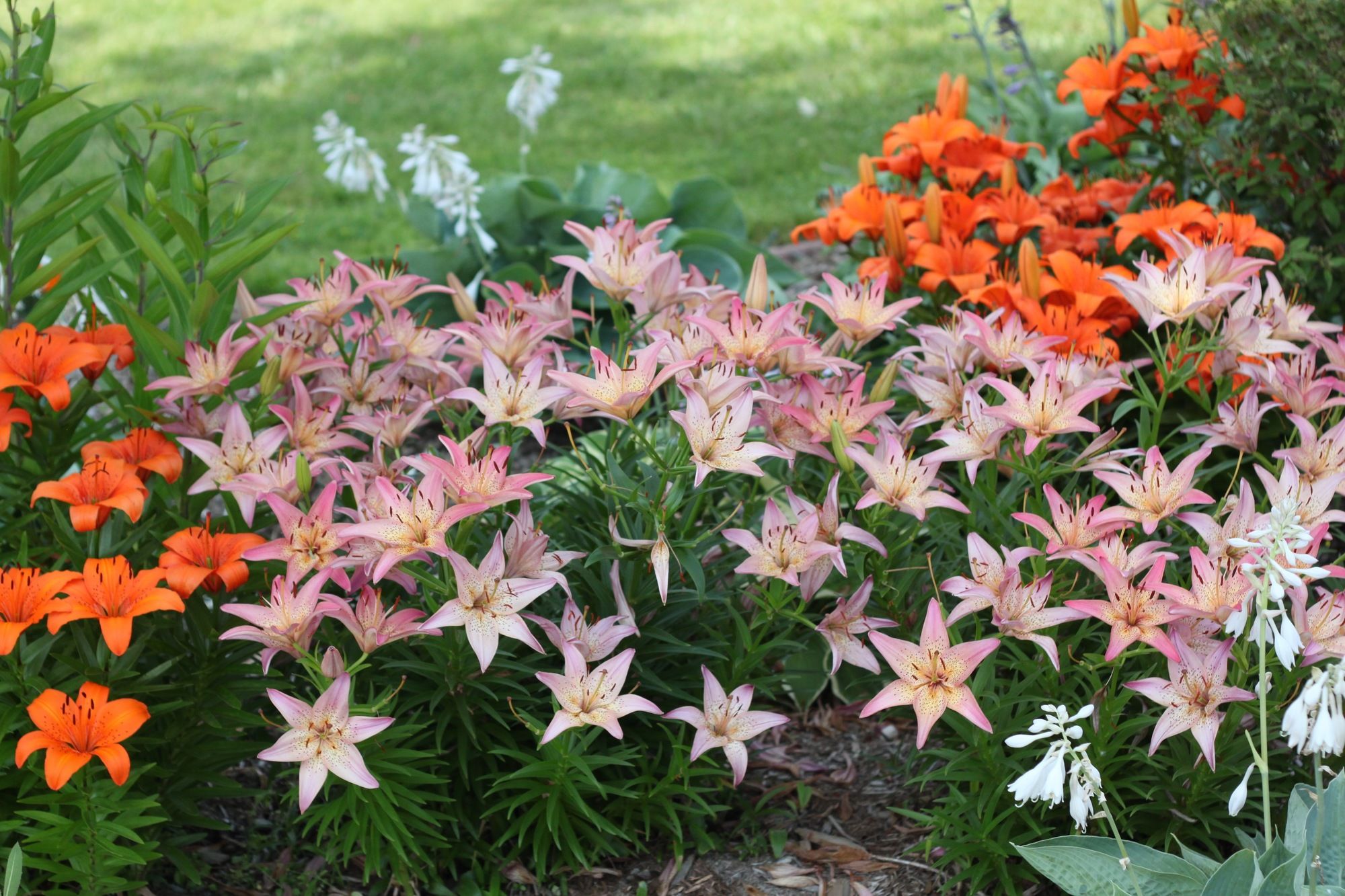 Фото Quality Inn & Suites 1000 Islands