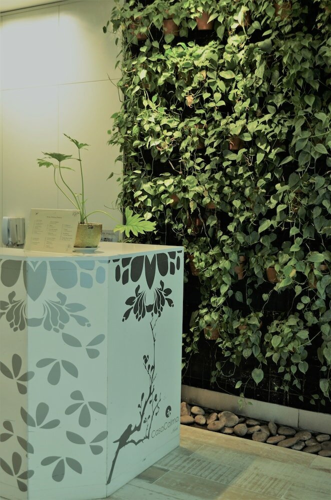 Фото CasaCalma Hotel