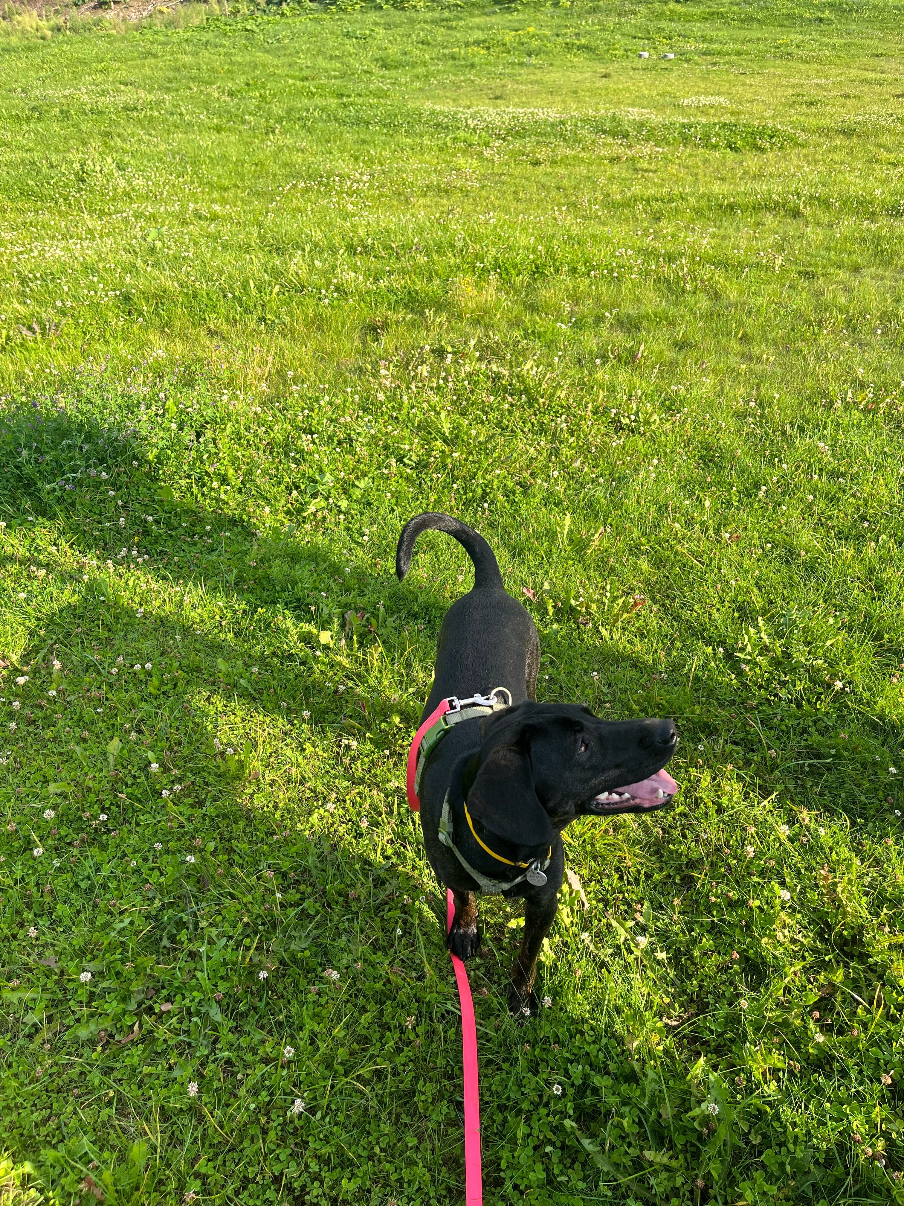 Фото Акуловка