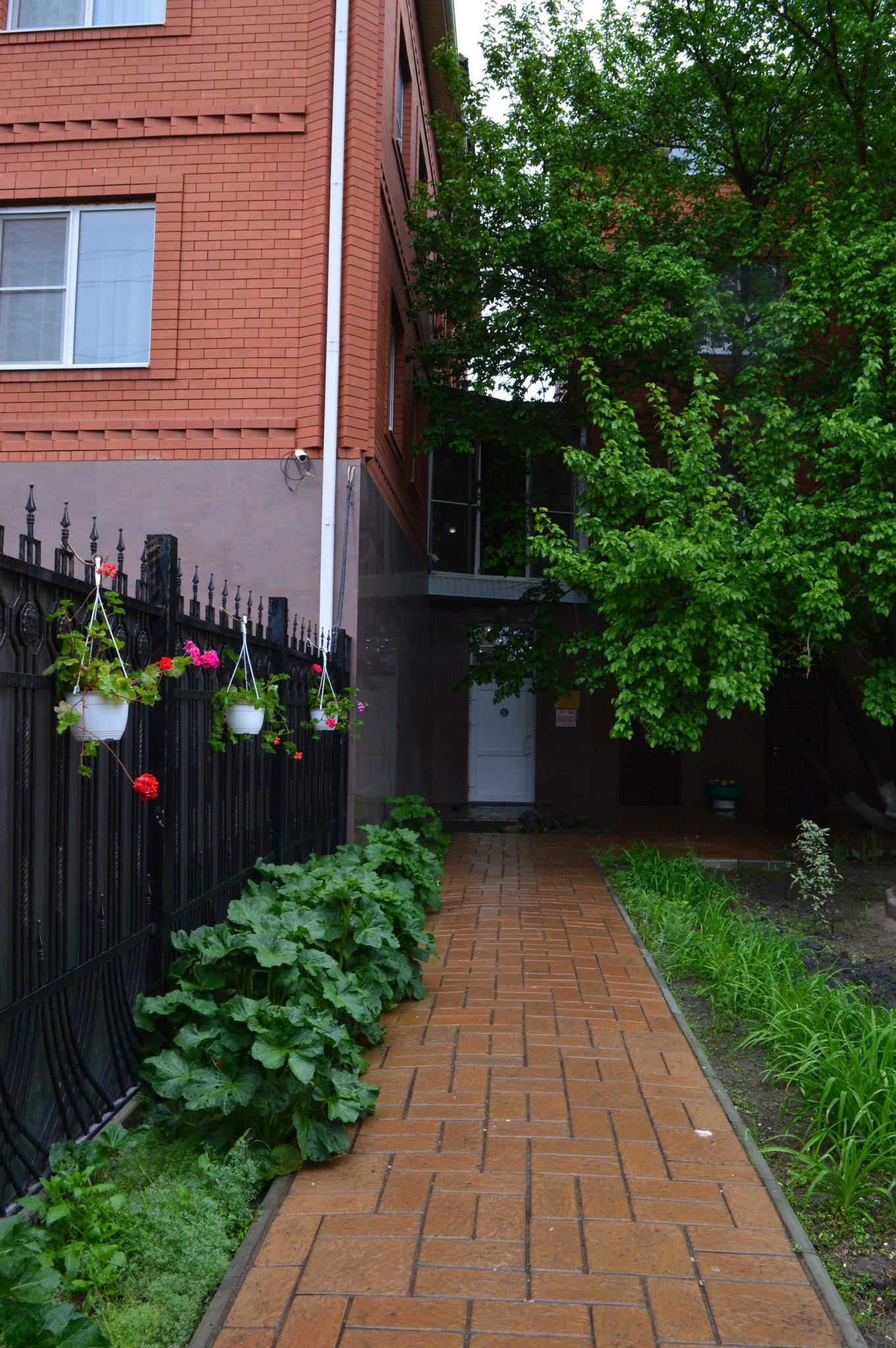 Фото Золотой Джин