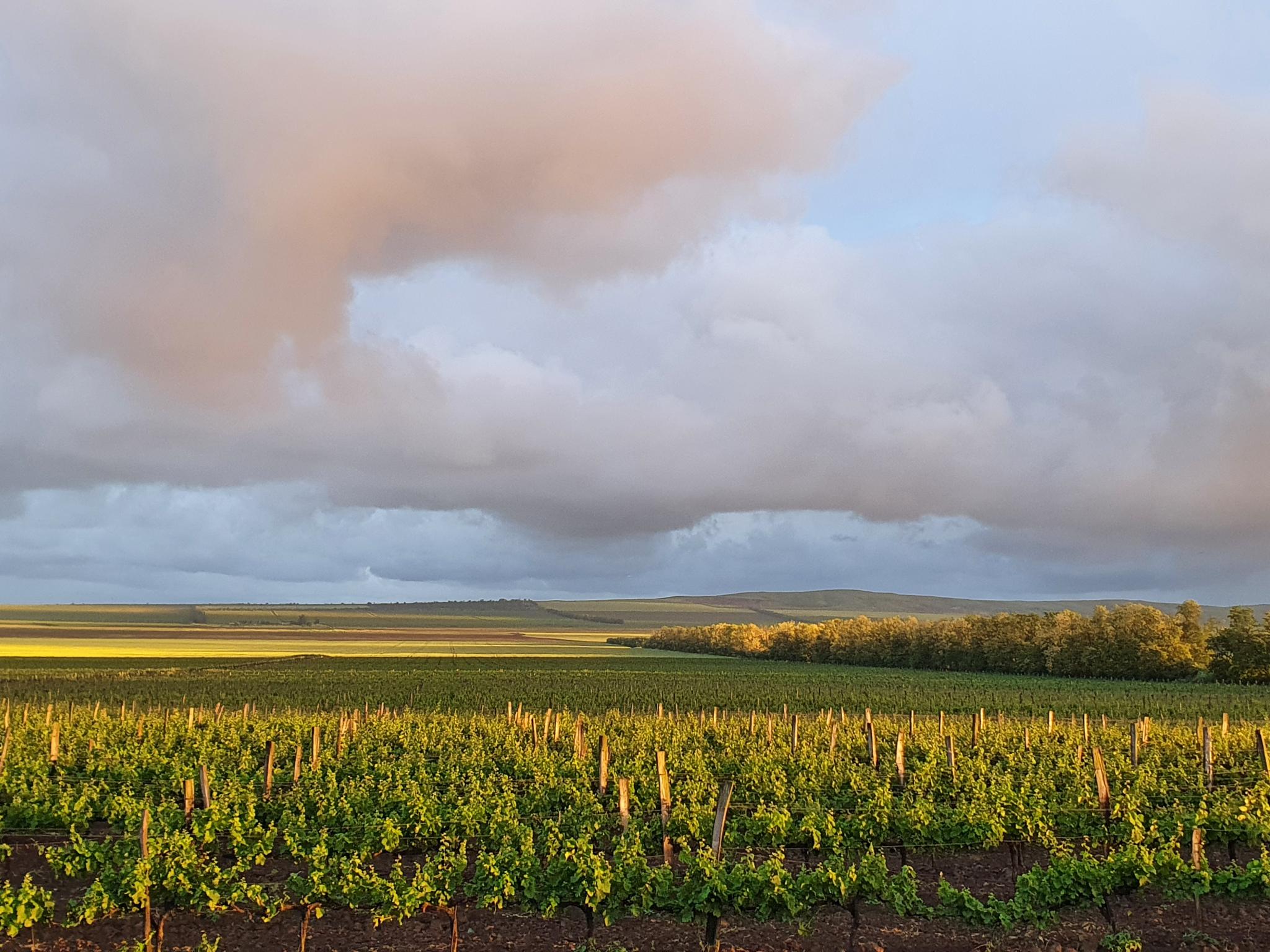 Фото Солнечный берег на улице Центральная 44