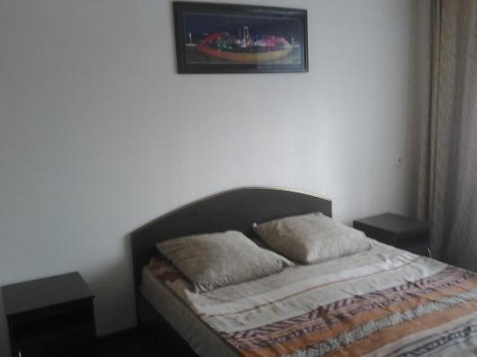 Фото Тюльпан