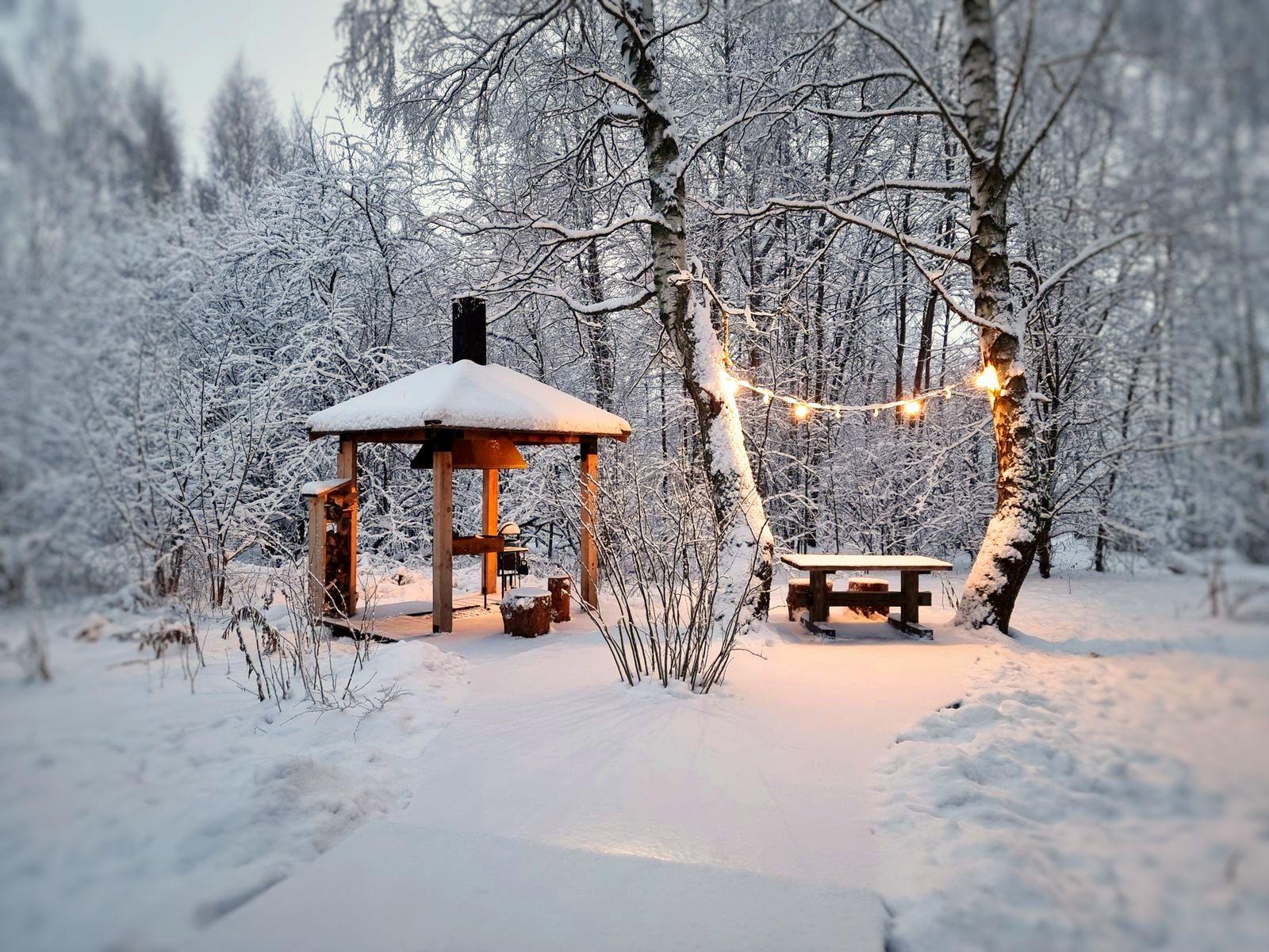 Фото Лапочкино гнездо Дома на деревьях