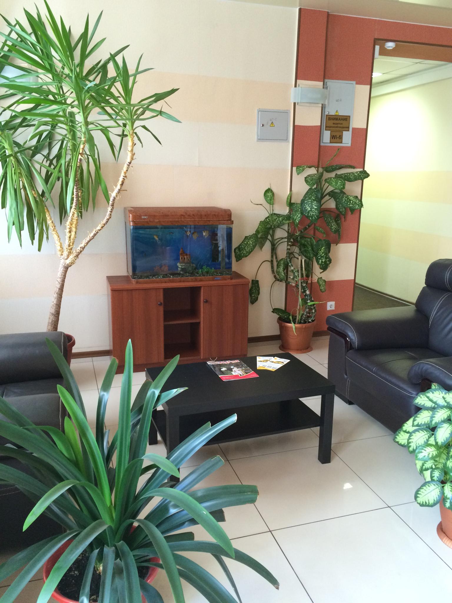 Фото Восточная