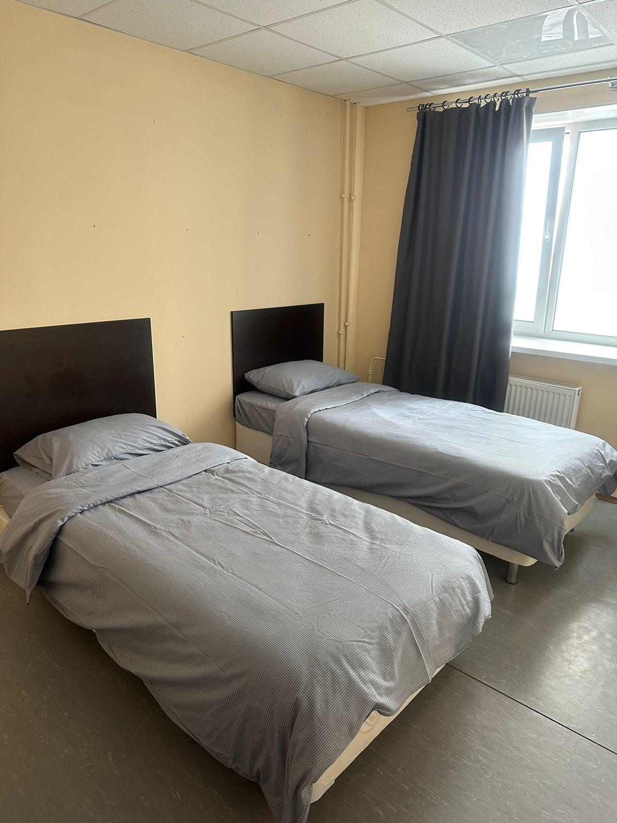 Фото Пилигрим