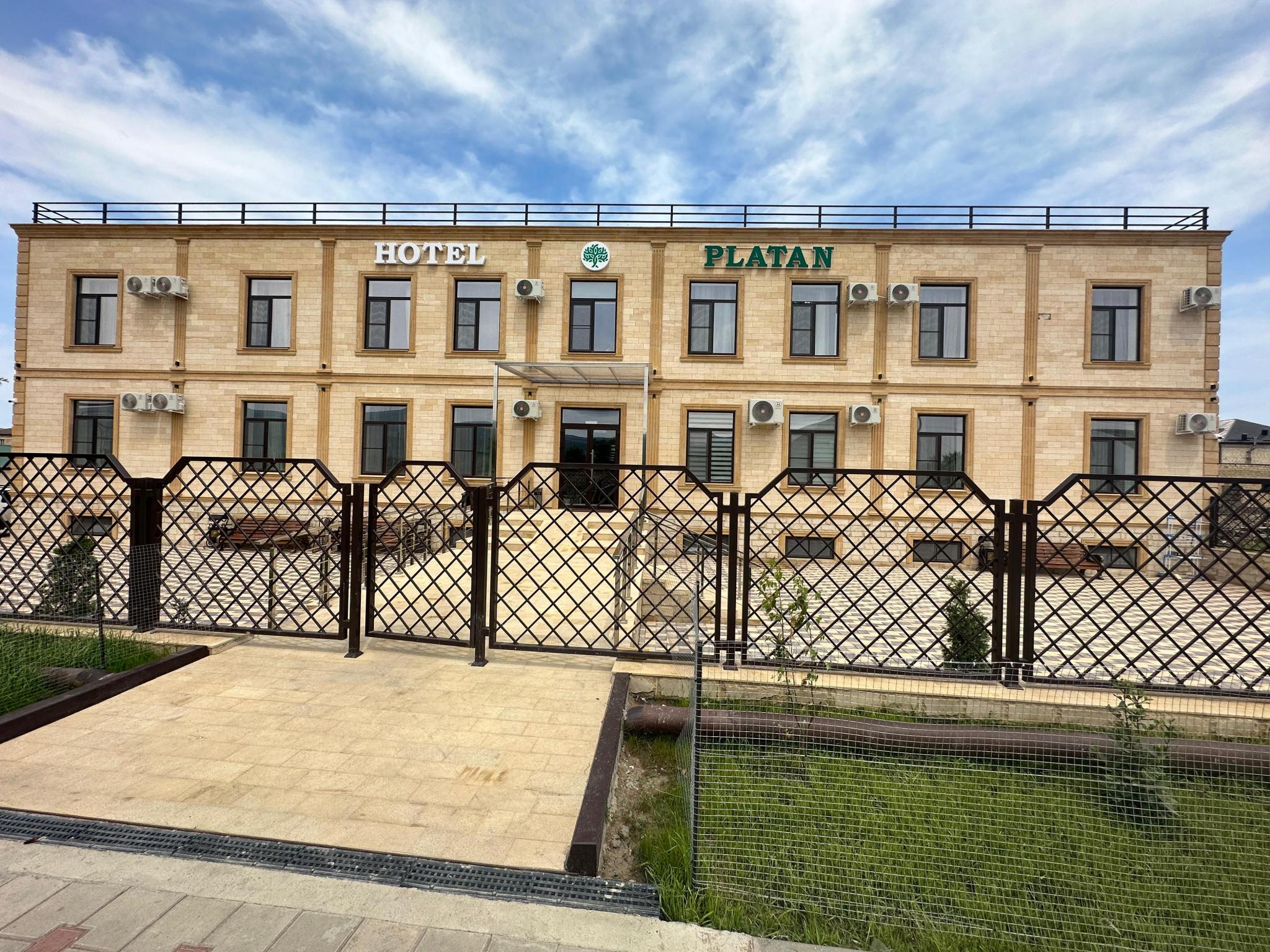 Фото Платан