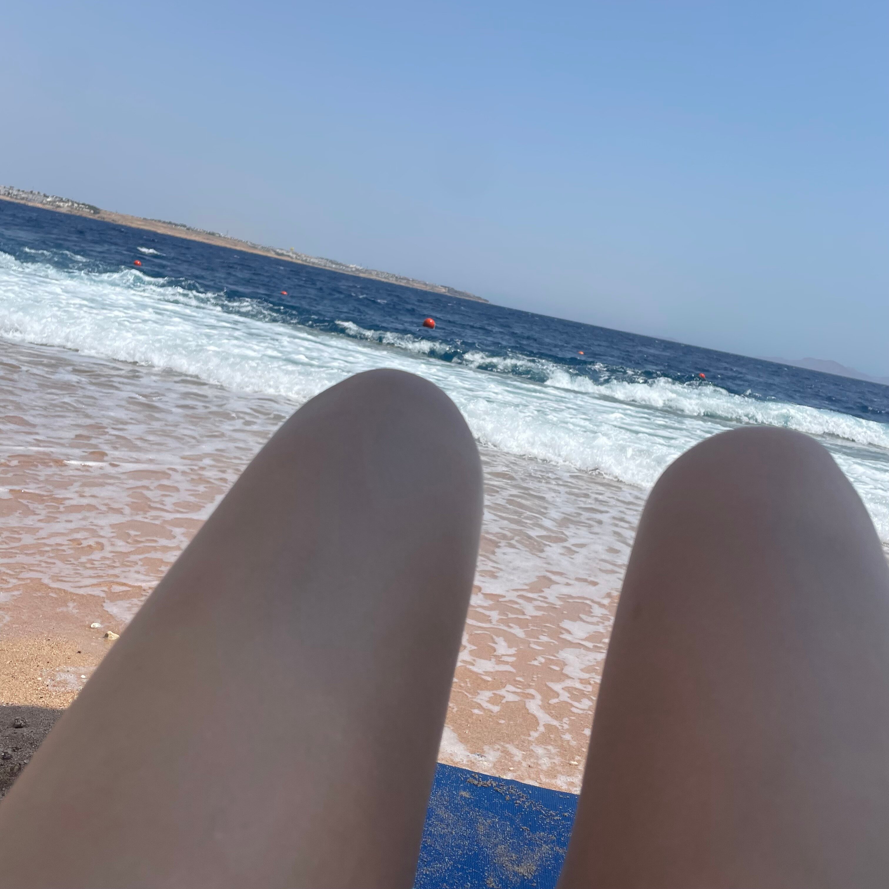 Фото Club Reef Resort