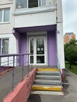 Anastasia (Rudnyovka Street, 18) ، شريط حاجب العين