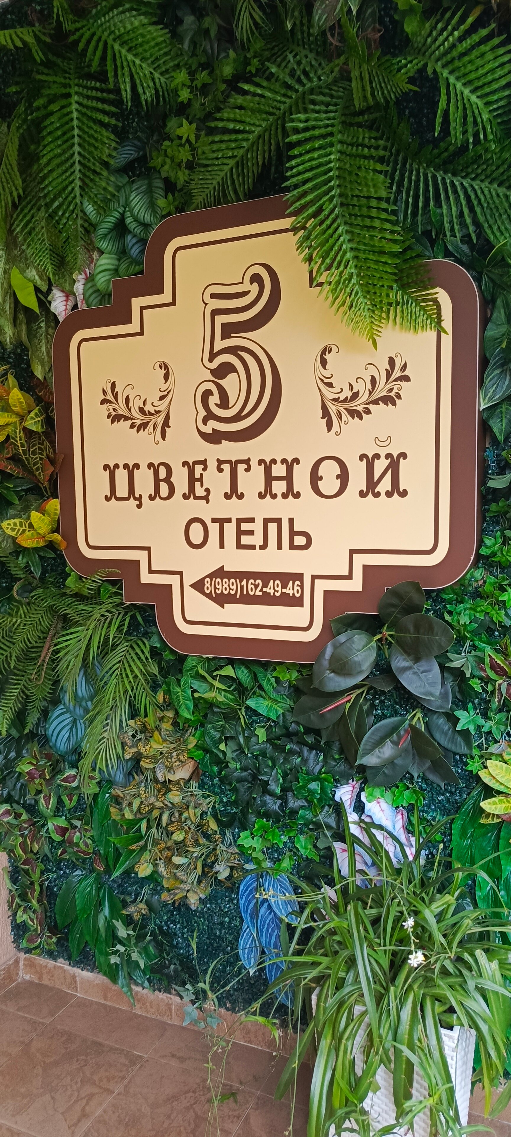 Фото Цветной 5