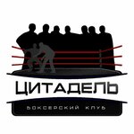 Цитадель (Bolshie Vyazyomy Working Village, posyolok Shkolny, 11) ، مدرسة رياضية