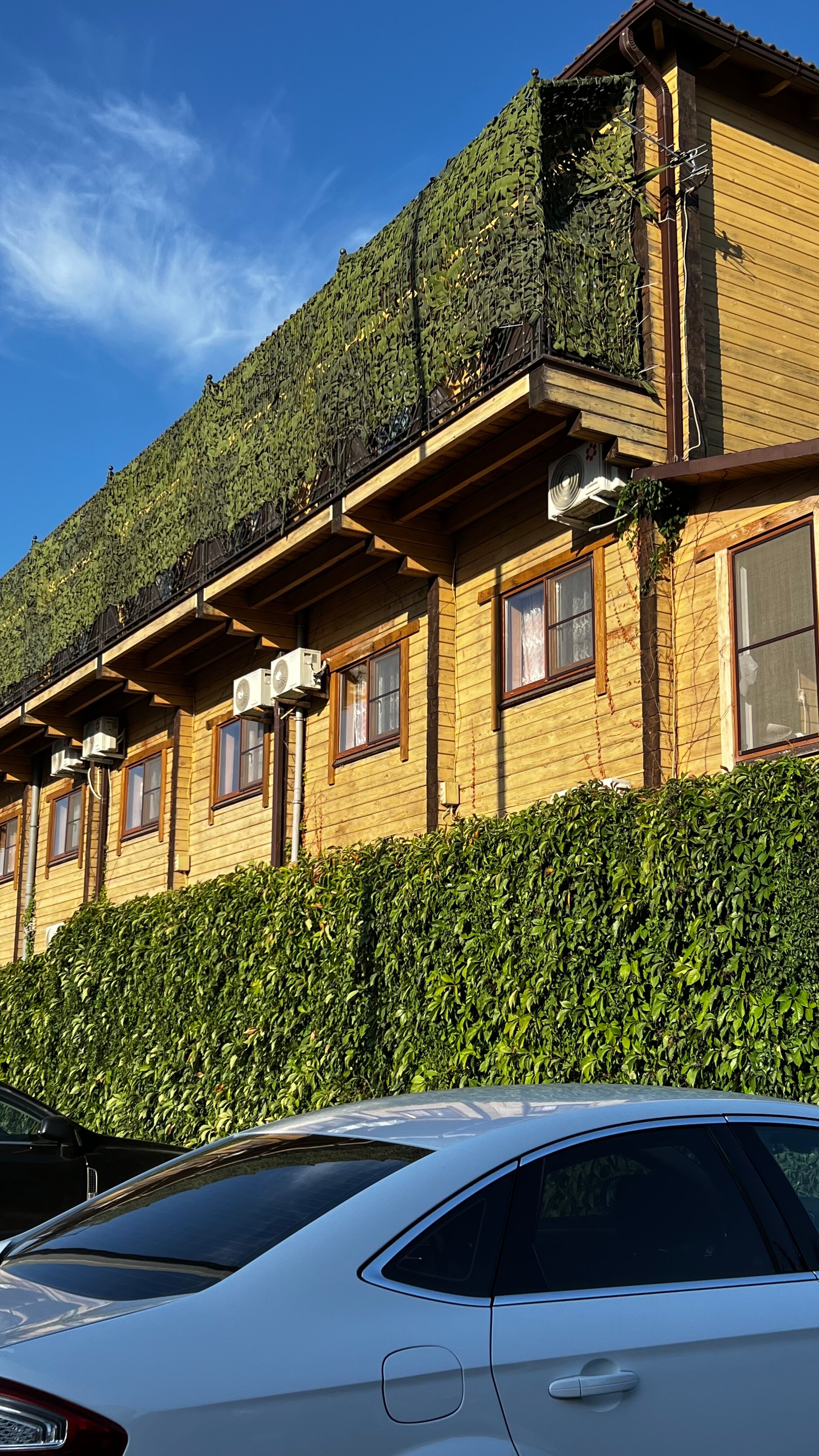 Фото Сириус