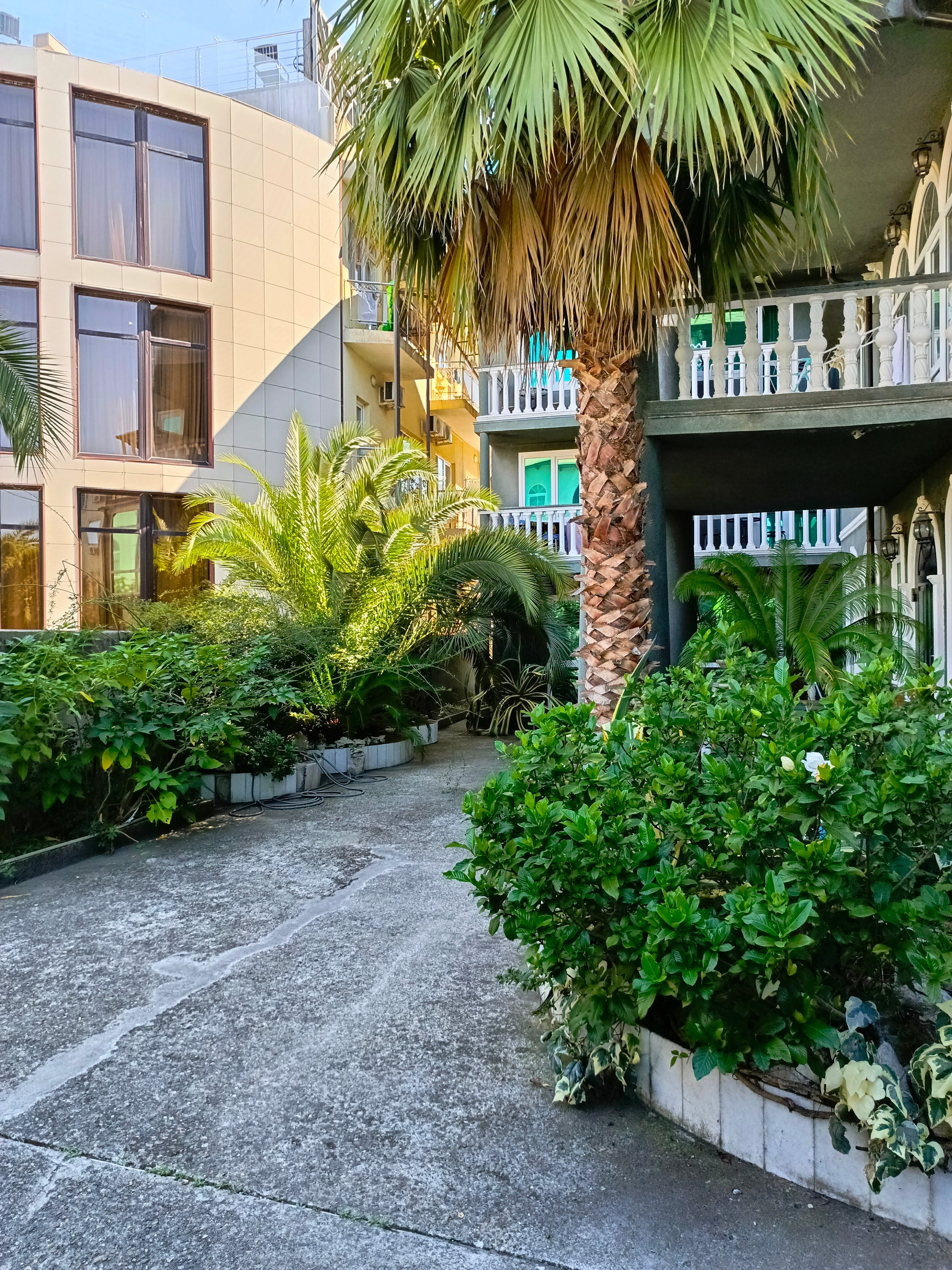 Фото Эллаиса