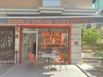 Damla Real Estate (Ankara Province, Cankaya District, Cebeci Mah., Telli Kaya Sok., 6A), property management
