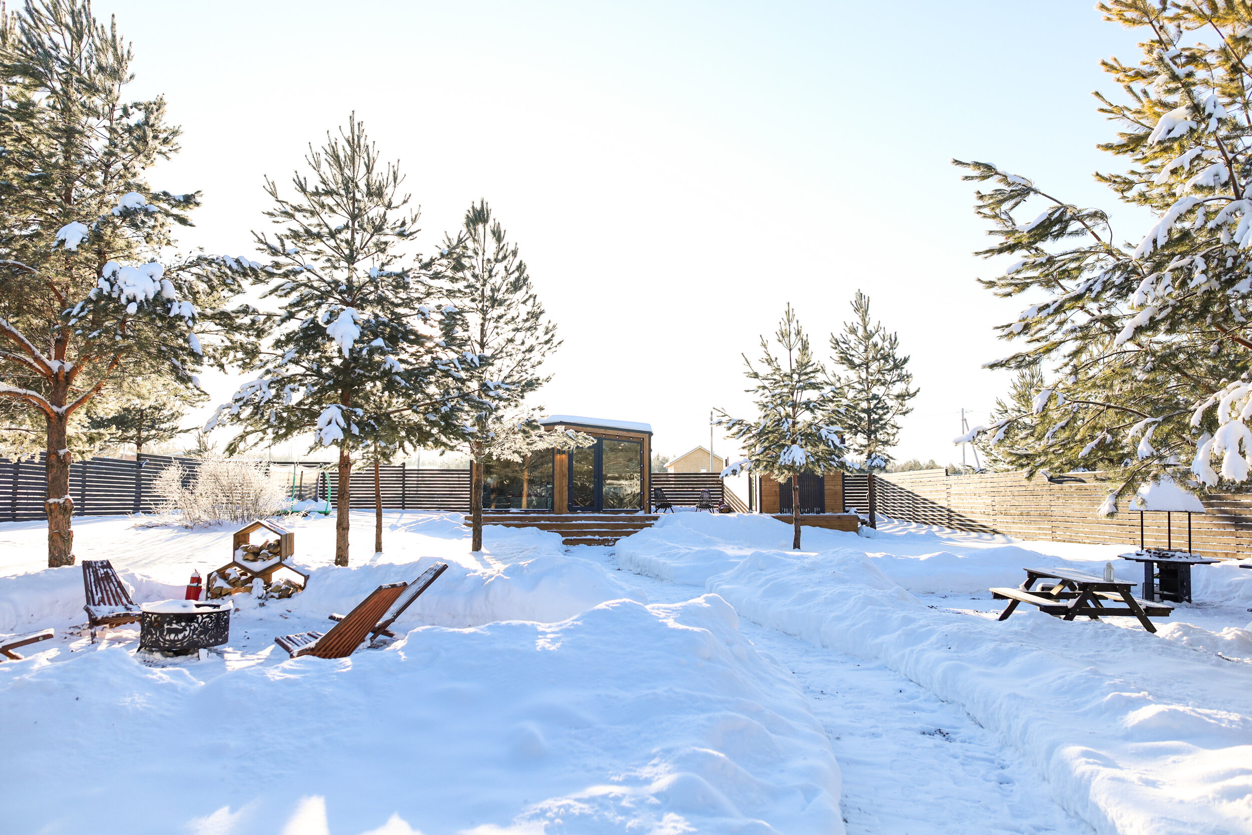 Фото На опушке