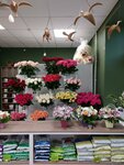 Tsvety (Bronnitskaya Street, 21), floristeria