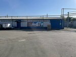 Amg Group (Mayakovskogo Street, 35Б), lubricants