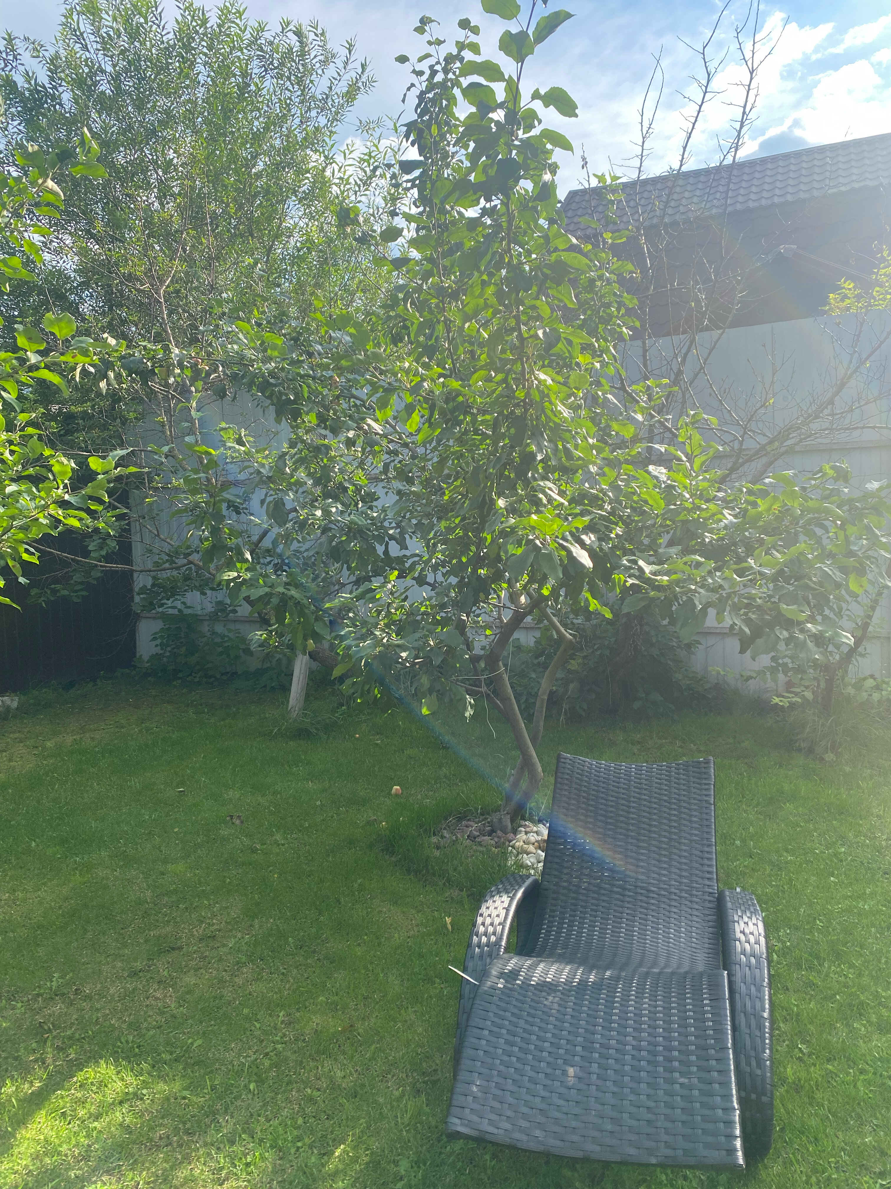 Фото Деревенька Аракуль