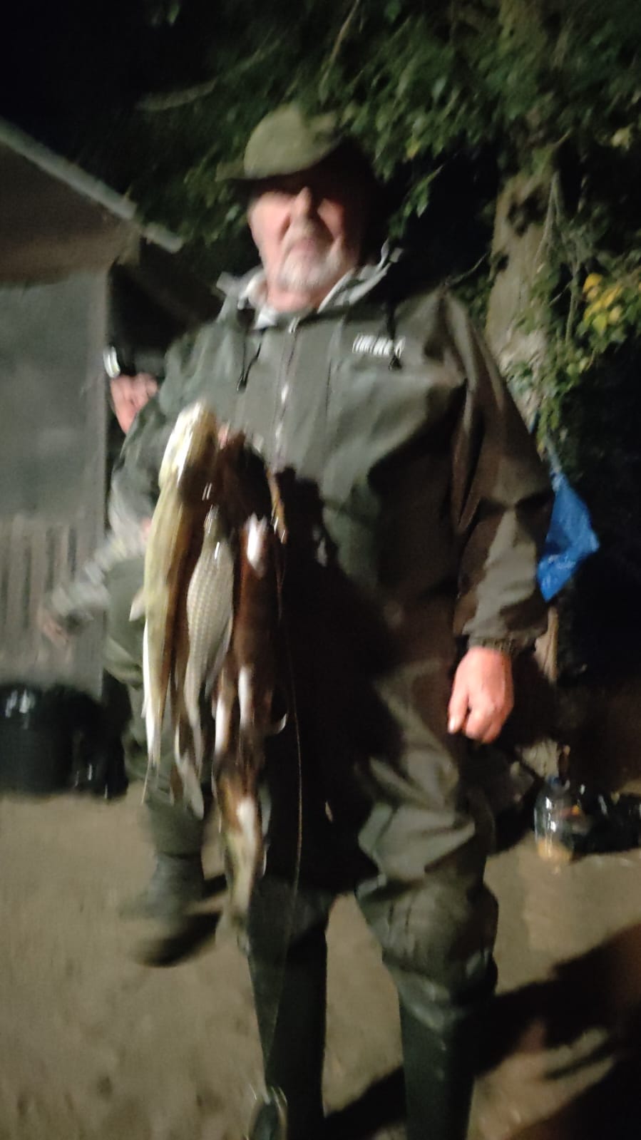 Фото Алимовский плес