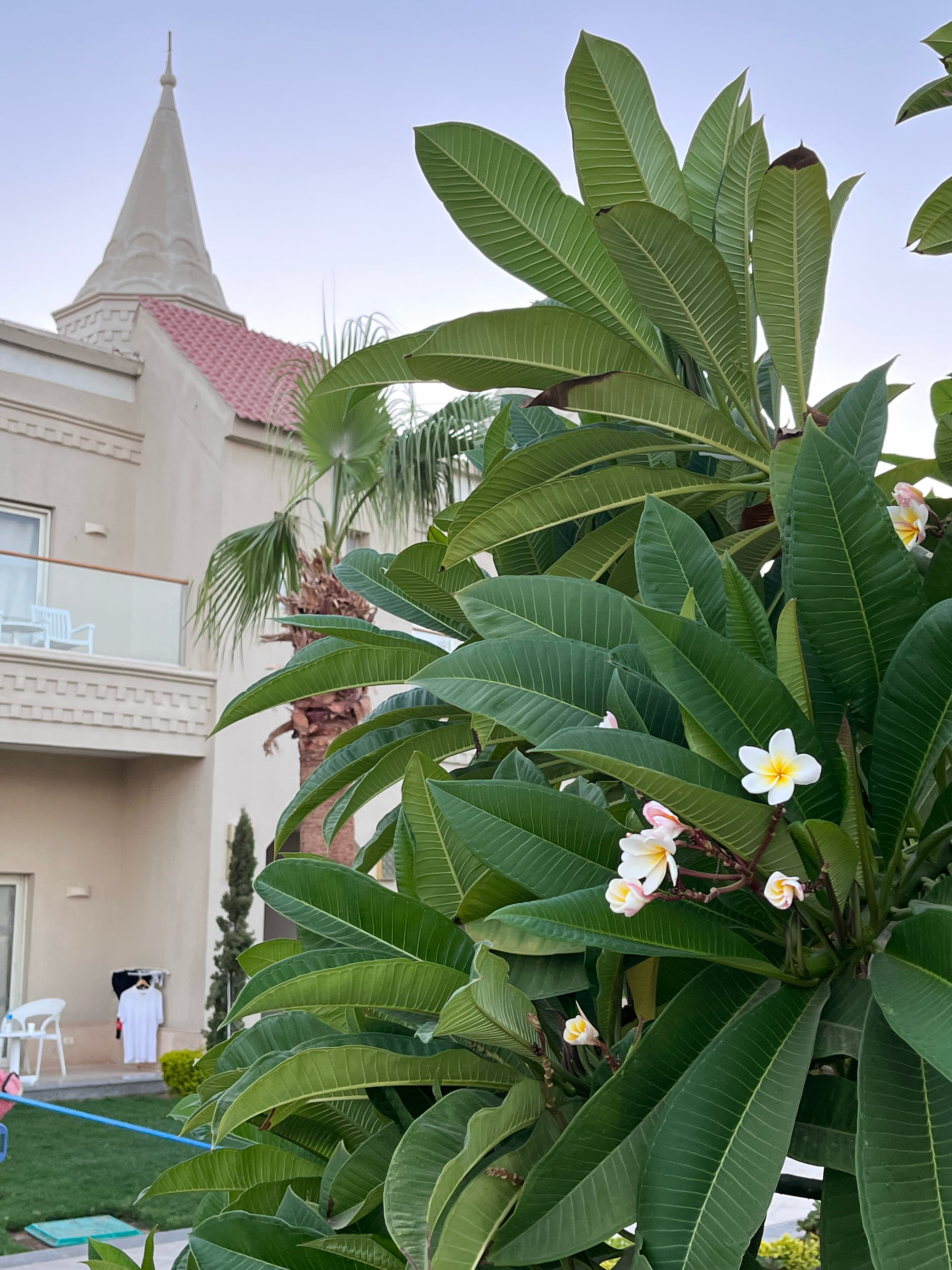 Фото Pickalbatros Aqua Blu Resort