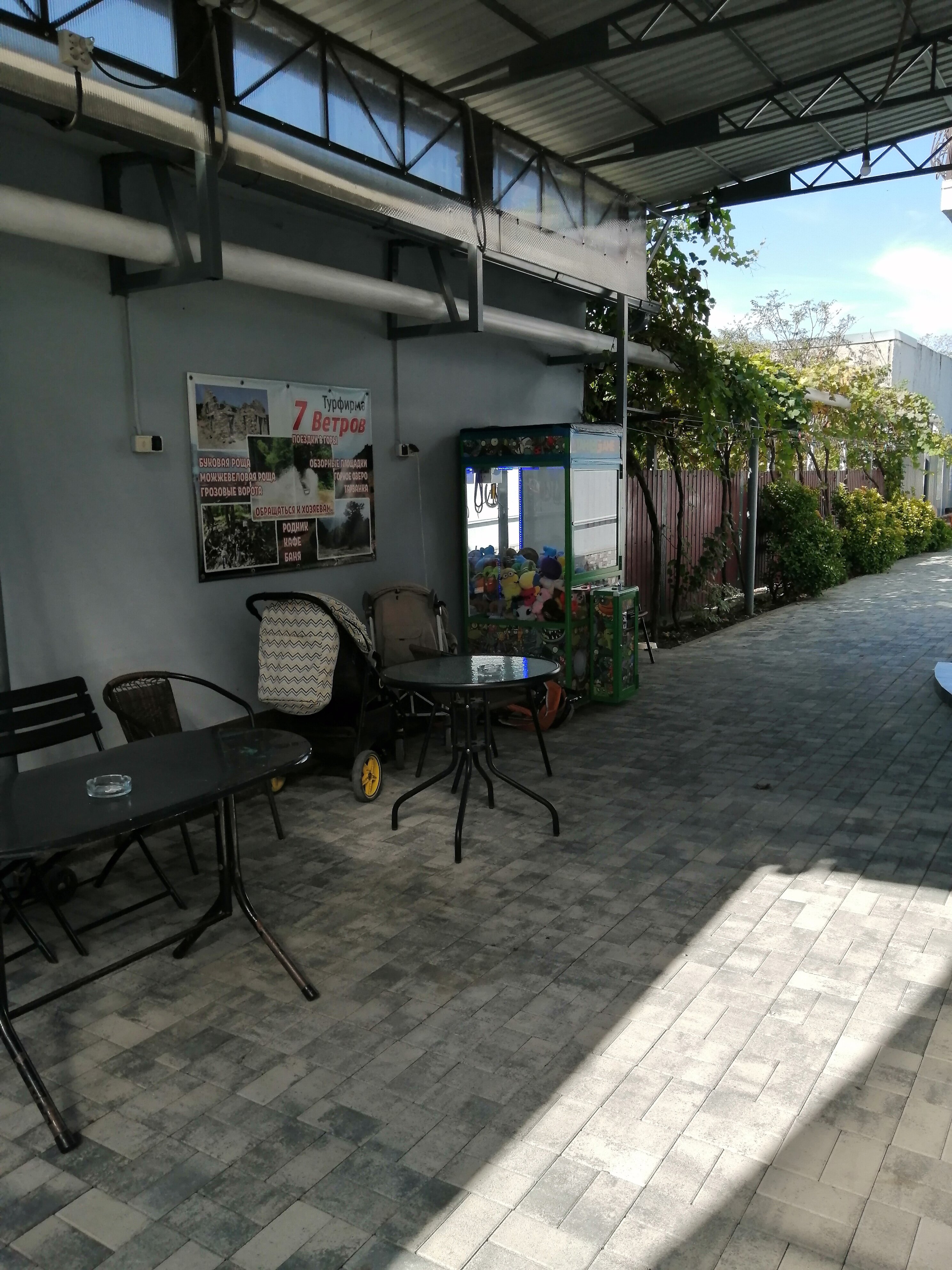 Фото Василина