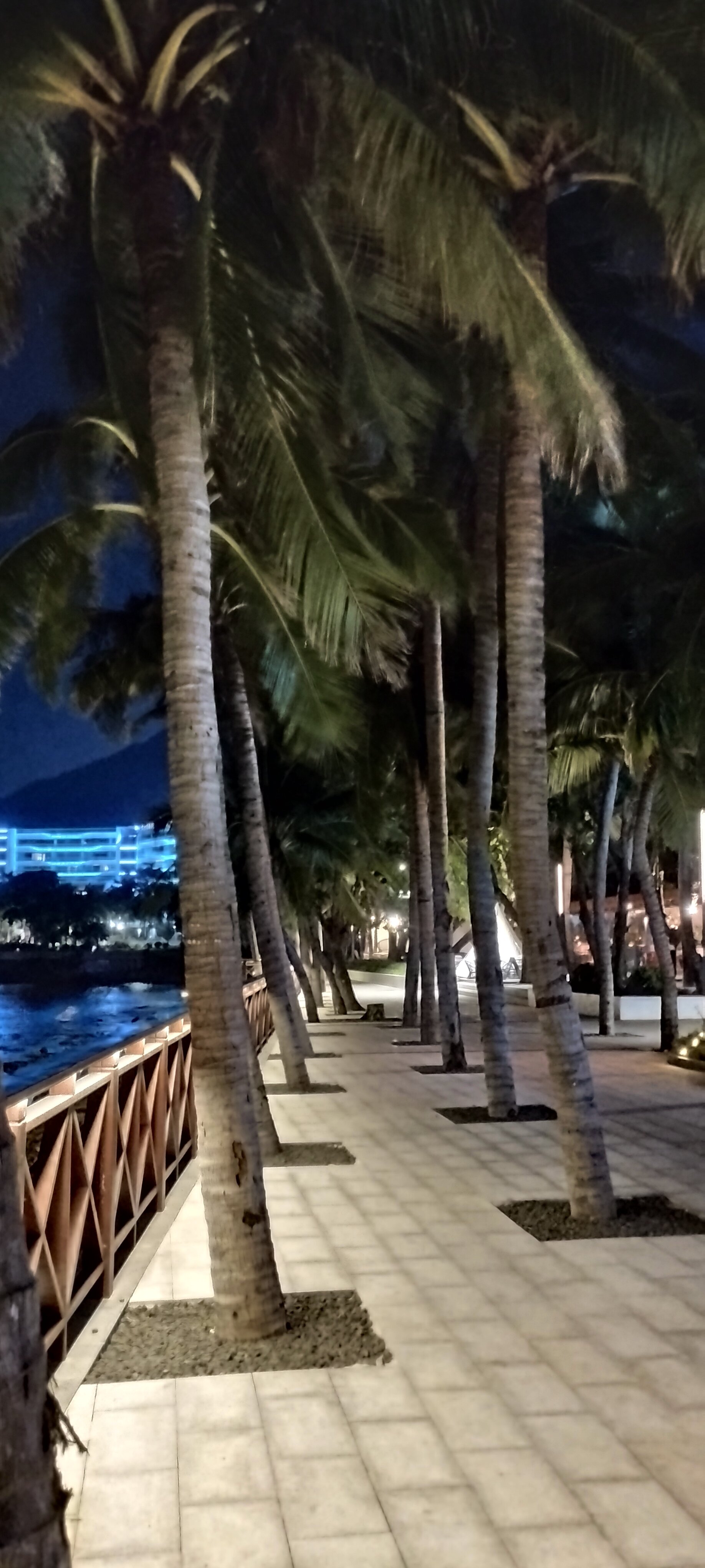 Фото Sanya Luyi Sea View Hotel