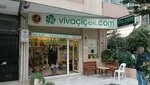 Viva Cicekcilik (İzmir, Konak, İnönü Cad., 242E), artificial plants and flowers