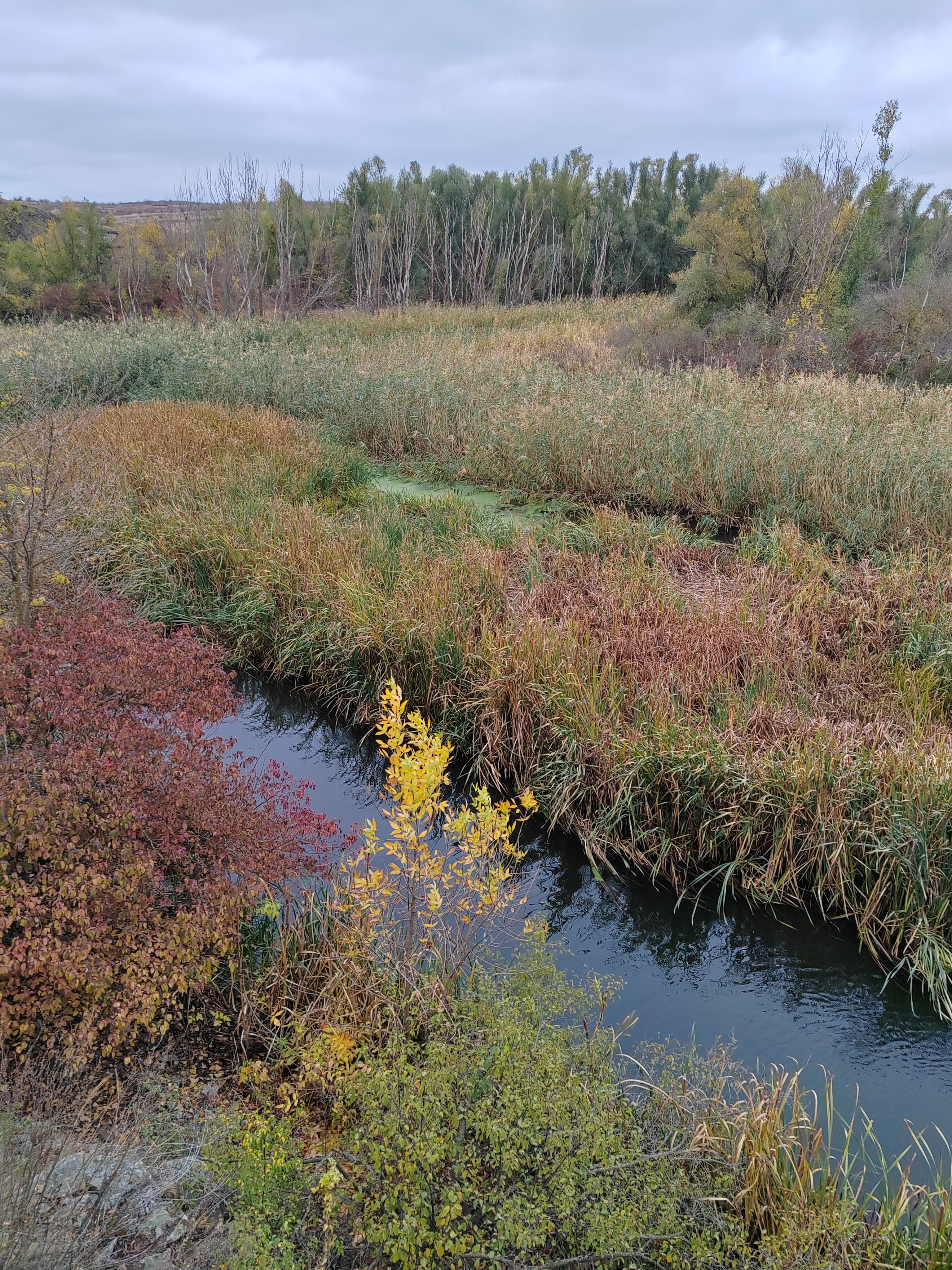 Фото Семейный
