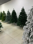 Elki_nk116 (Korabelnaya Street, 44), christmas trees and christmas decorations