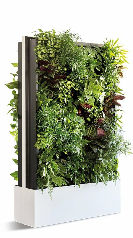 Furniture store Cp Furniture Systems Middle East, Dubai, photo