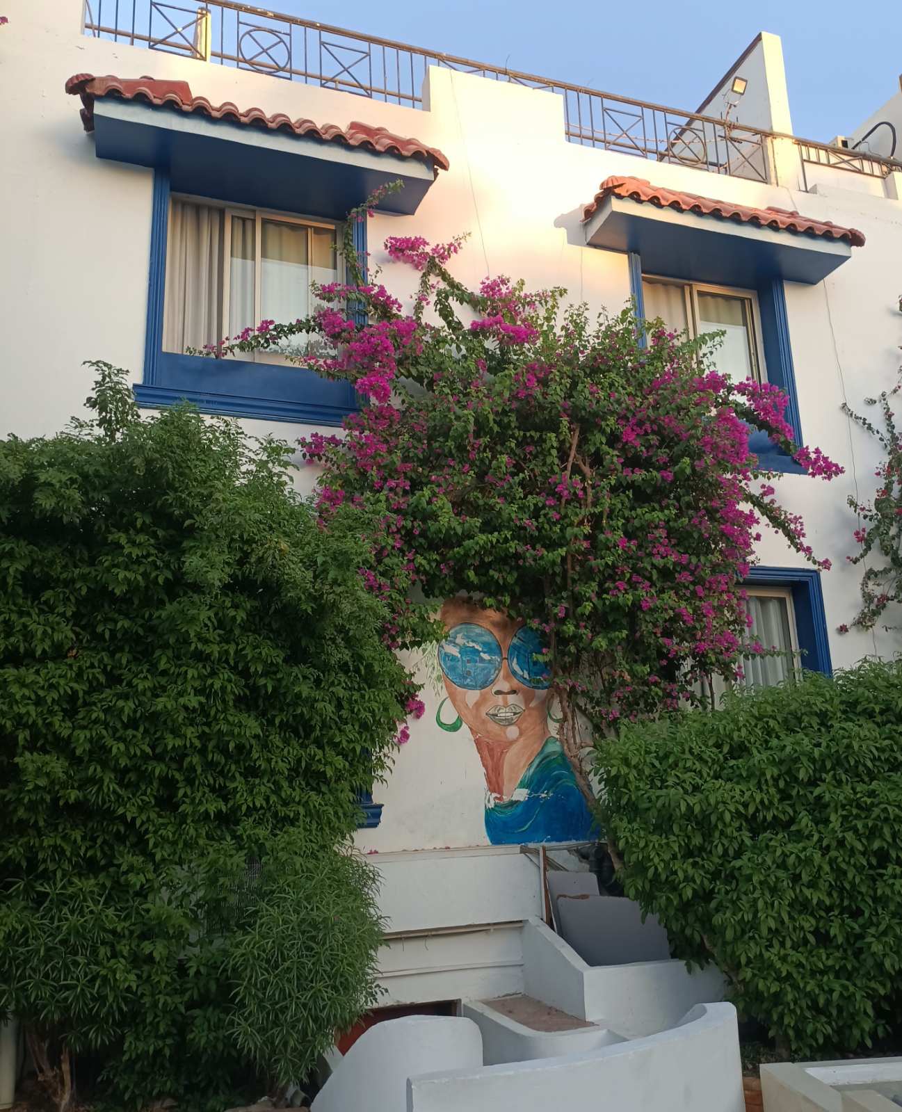 Фото Falcon Naama Star