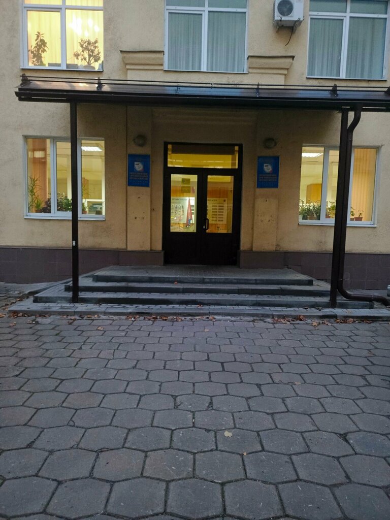 Forest management, reforestation Ярлес, Yaroslavl, photo