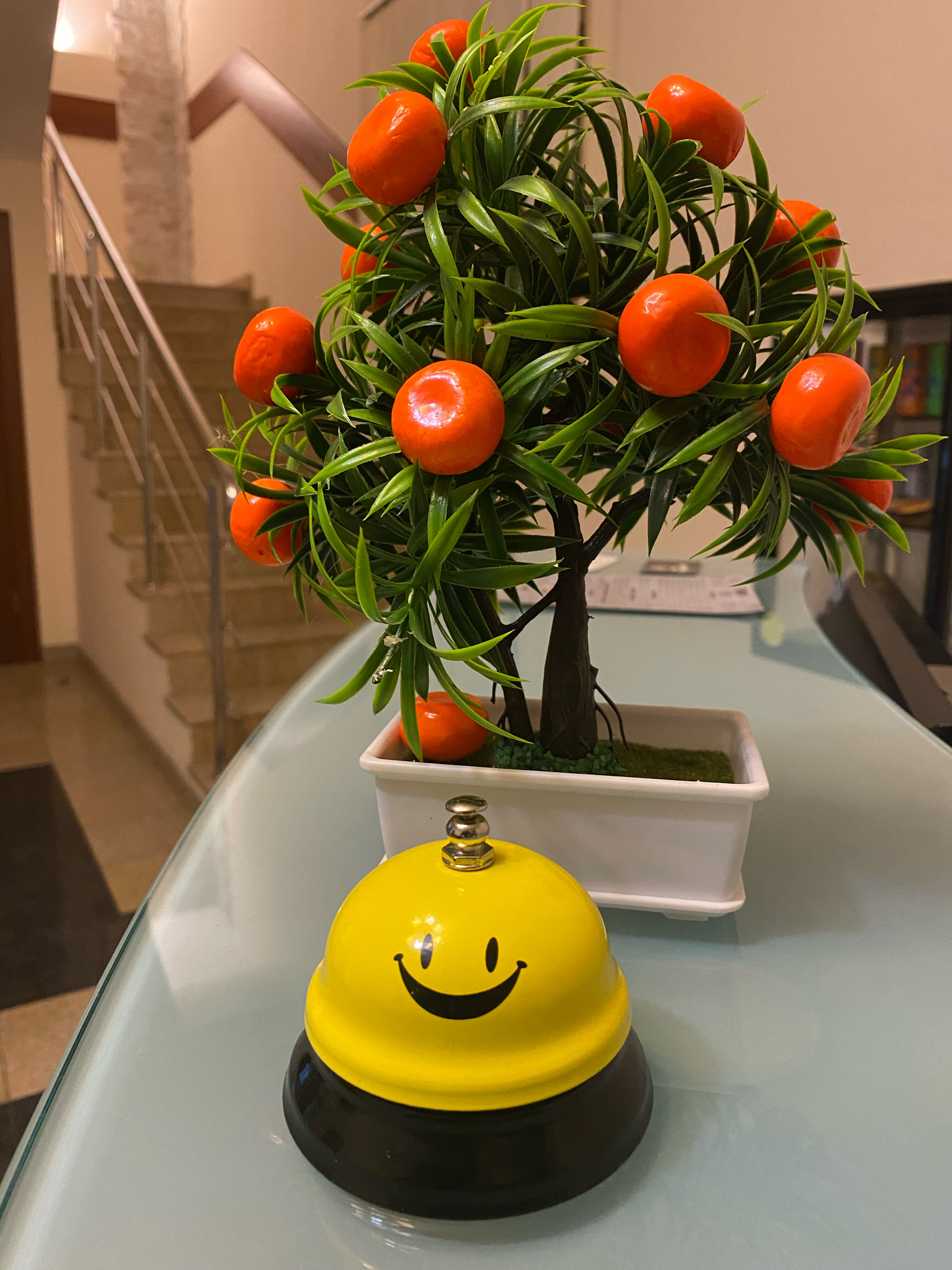 Фото Мандарин