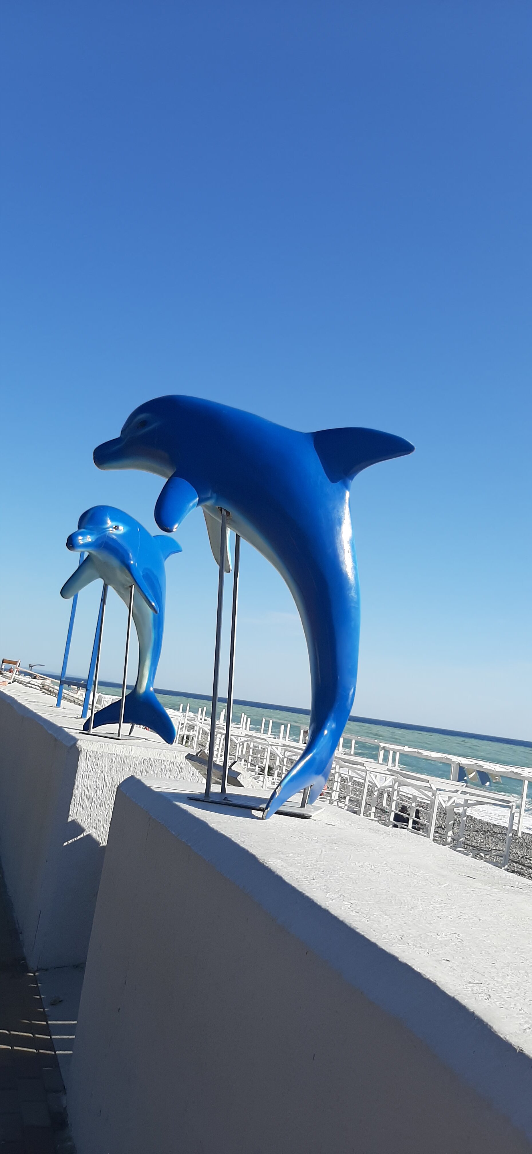 Фото Бухта № 5