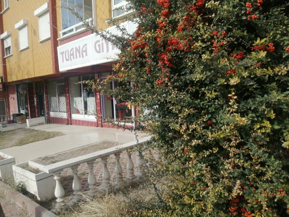 Clothing store Tuana Giyim, Ankara, photo