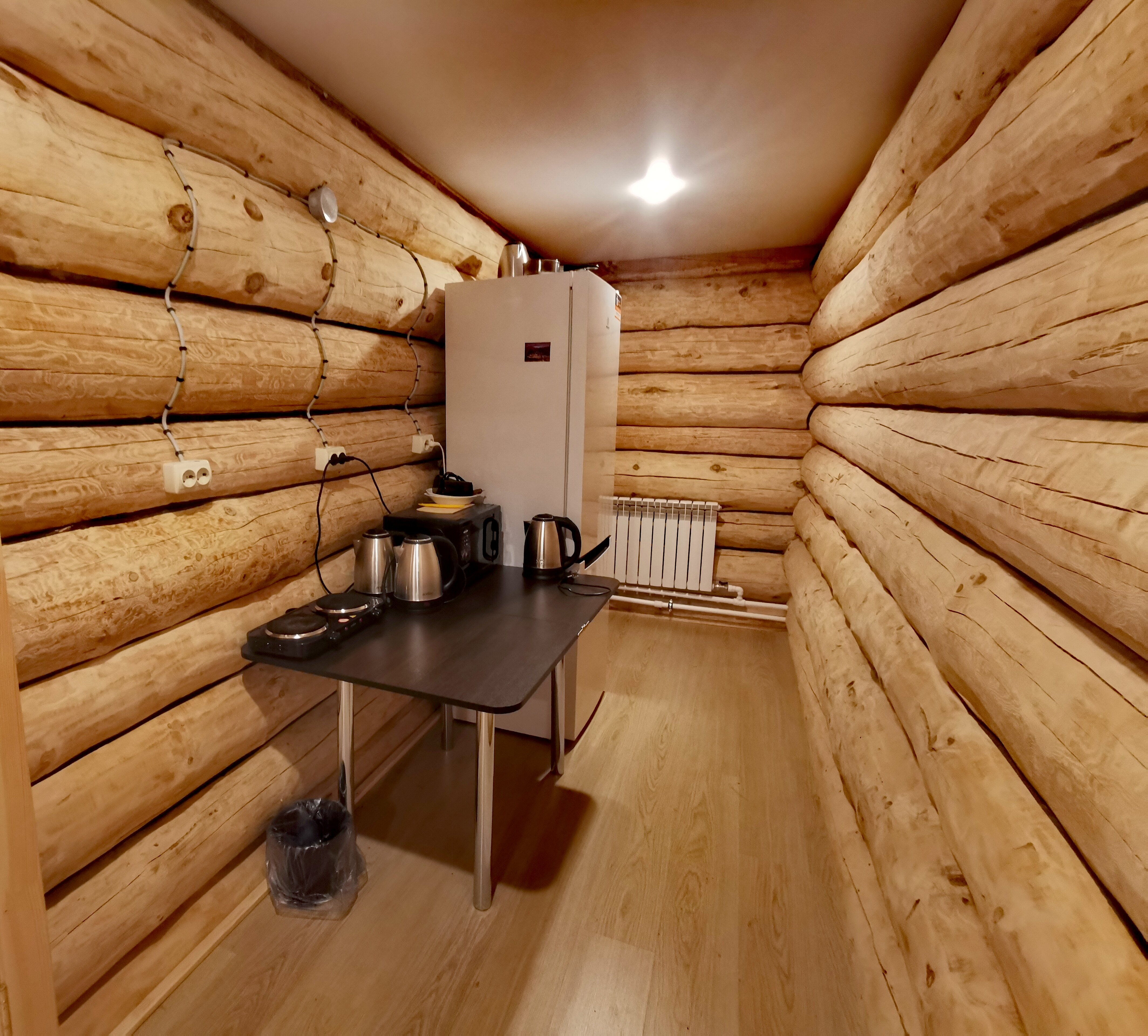 Фото Сила Сибири