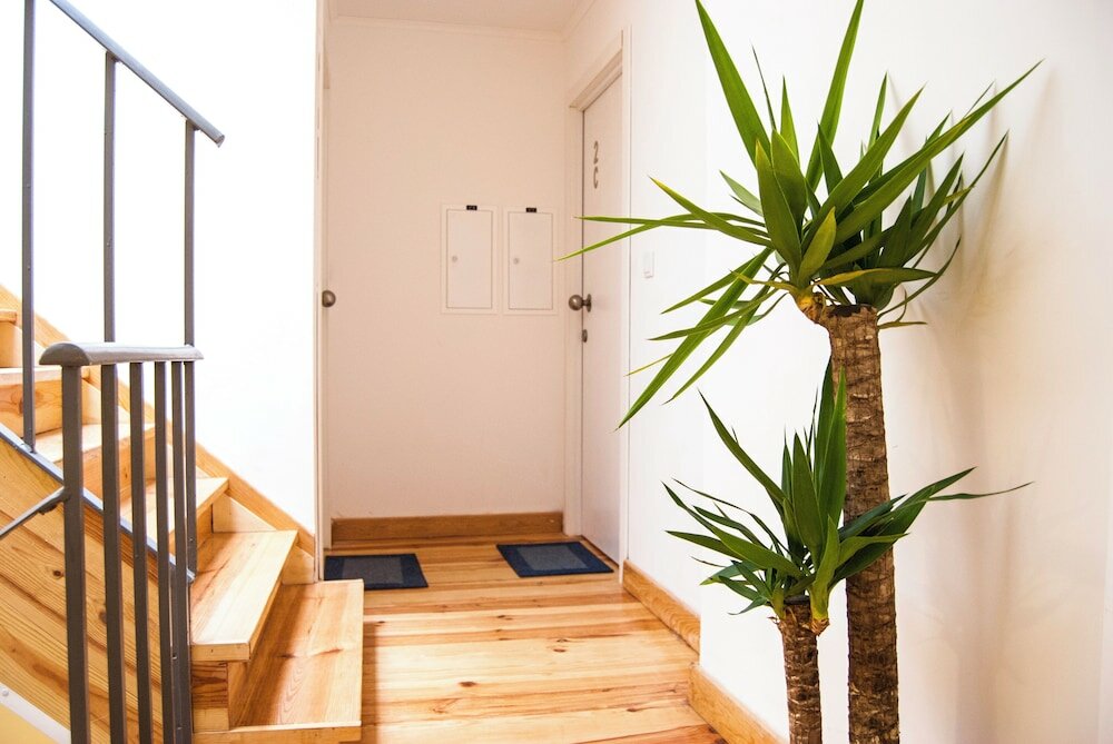 Фото Daora Hostel