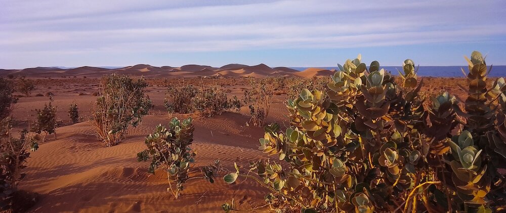 Фото Erg Chegaga Lodge