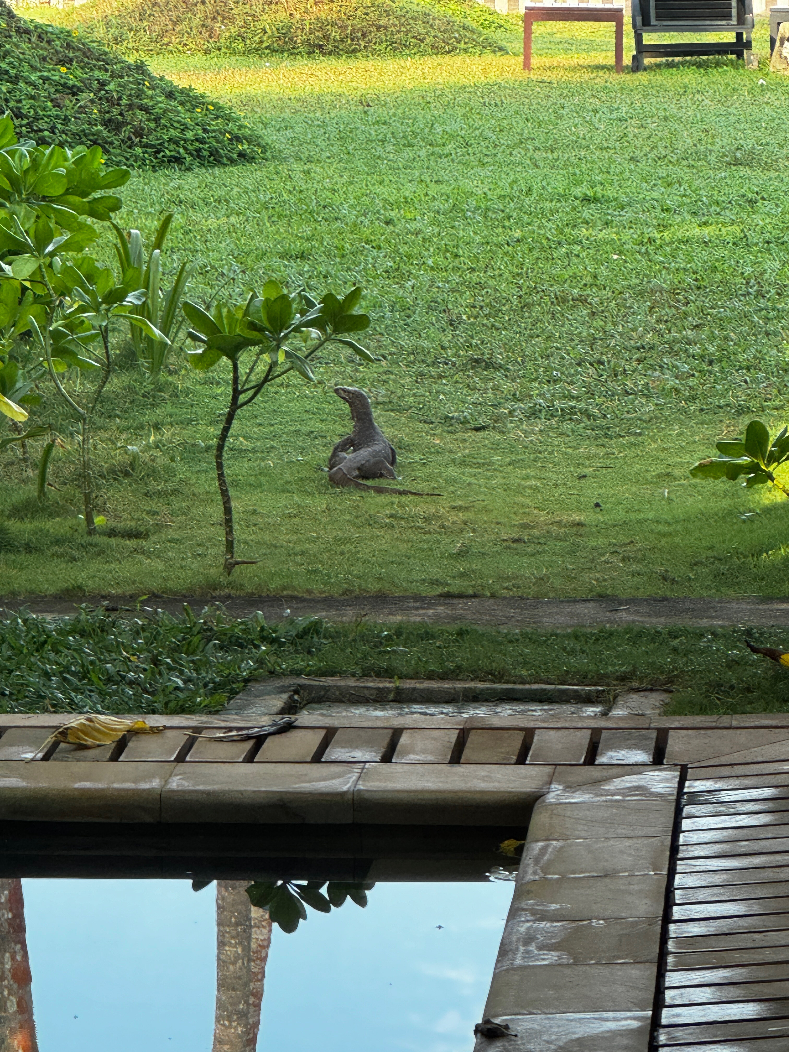 Фото Serene Pavilions