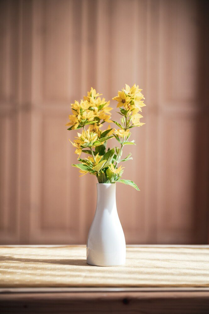 Фото Hotel Chalet Corso