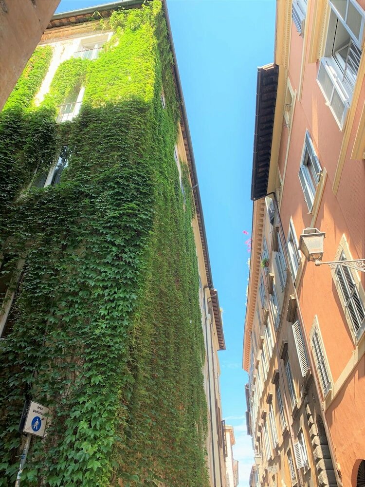 Фото Nova Domizia