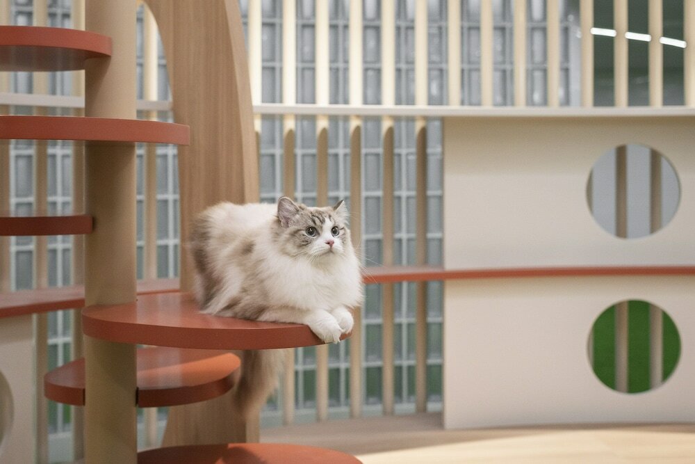 Фото Terra Nara Hotel Pattaya