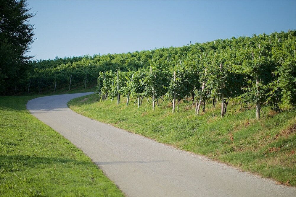 Фото Tourist Farm Lovrec