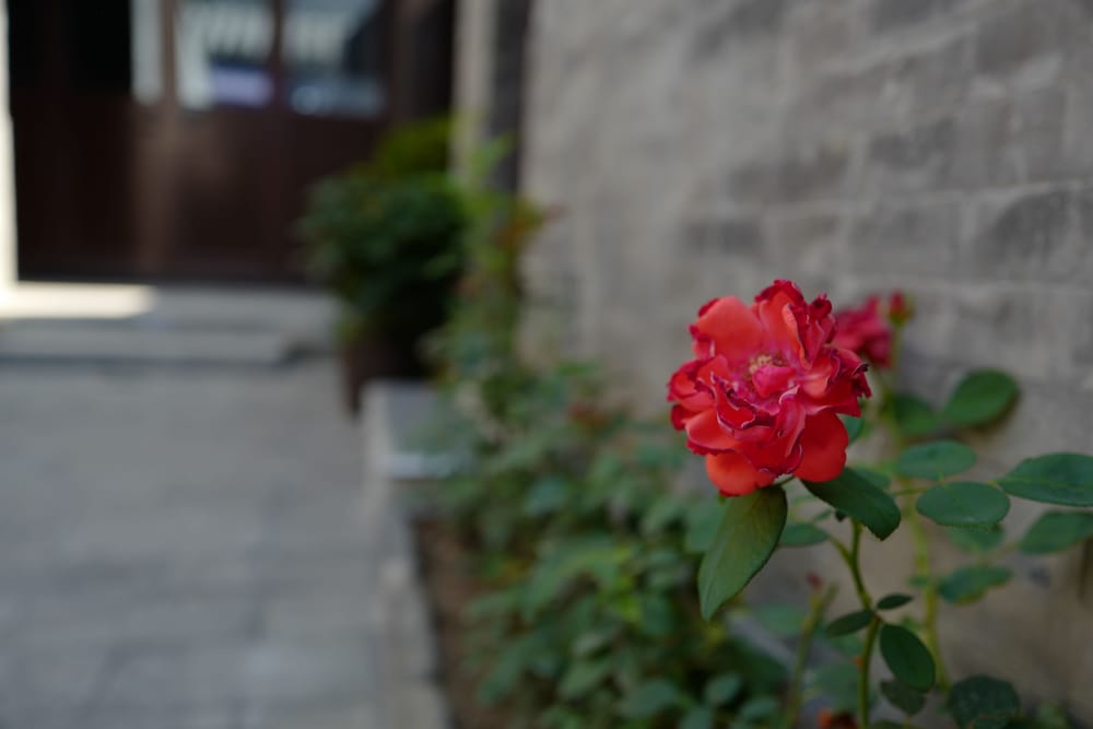 Фото Manxin Beijing Qianmen Courtyard Hotel