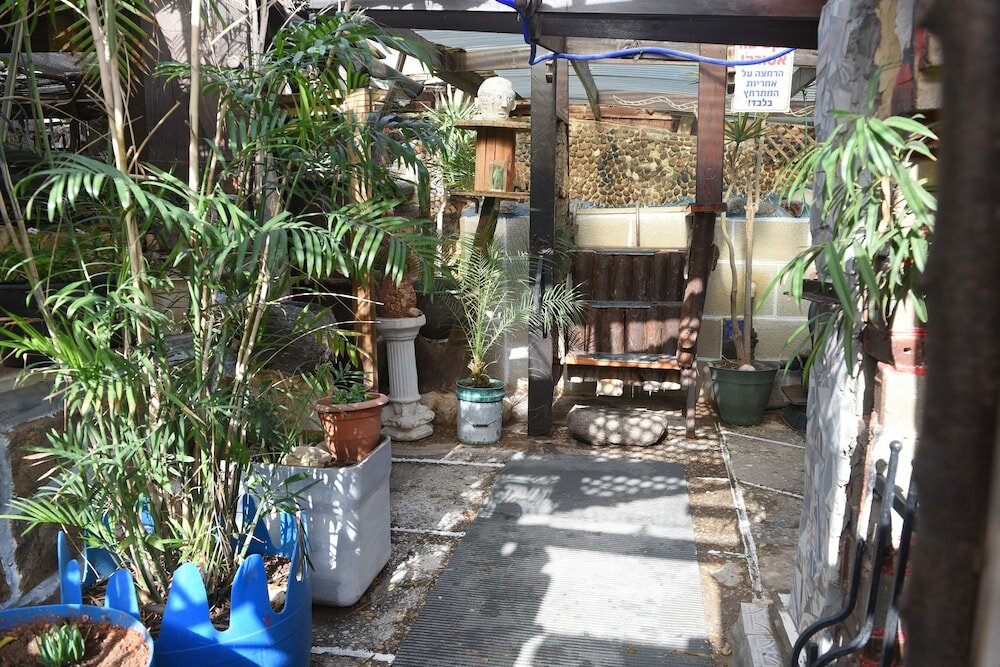 Фото Bet Hahalukim