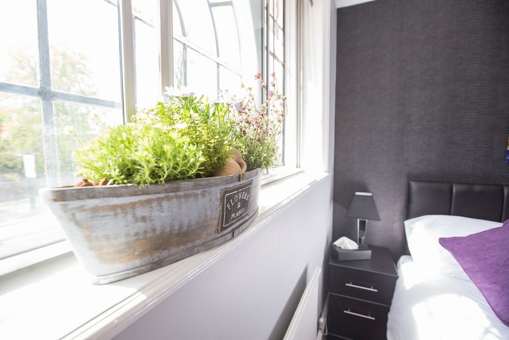 Фото Verve Hotel